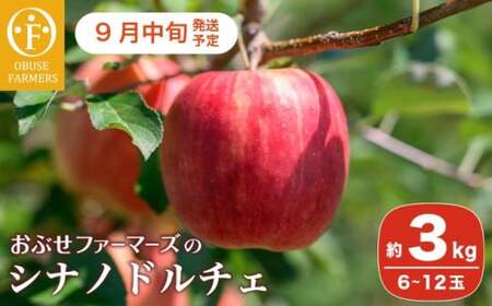 シナノドルチェ 約3kg 6〜12玉 [ おぶせファーマーズ ] 数量限定 令和8年産 [2026年9月中旬〜下旬発送][FH-85]