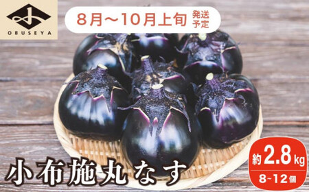 小布施丸なす 約2.8kg 8〜12個 [小布施屋] 茄子 ナス 信州 伝統野菜 やさい 長野県産 お取り寄せグルメ 食品 数量限定 期間限定 [2026年8月〜10月上旬発送] 