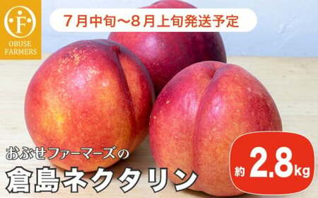 長野産 倉島ネクタリン 約2.8kg [おぶせファーマーズ]先行予約 ネクタリン 果物 フルーツ 冷蔵便 クール便 長野県産 信州産 令和8年産[2026年7月中旬〜8月上旬発送]