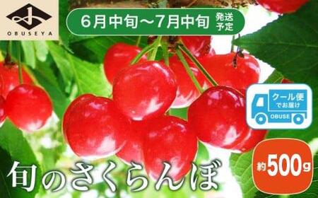 旬のさくらんぼ 約500g[小布施屋] 佐藤錦、紅秀峰、紅佐藤、紅香、サミット など くだもの 果物 サクランボ バラ詰め 令和8年産 [2026年6月中旬〜7月中旬発送]