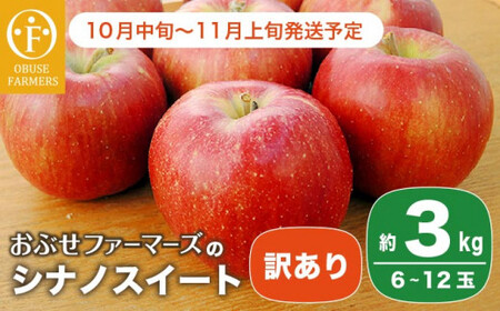 【訳あり】 シナノスイート 約3kg 6～12玉 ［おぶせファーマーズ］ 不揃い 規格外 家庭用  果物 フルーツ りんご 林檎 リンゴ 果物 フルーツ 長野県産 信州産 令和8年産 【2026年10月中旬～11月上旬発送】 ［FH-54］