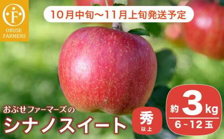  シナノスイート 秀以上 約3kg 6～12玉 ［おぶせファーマーズ］ 果物 フルーツ りんご 林檎 リンゴ 長野県産 信州産 令和8年産 【2026年10月中旬～11月上旬発送】  ［FH-84］