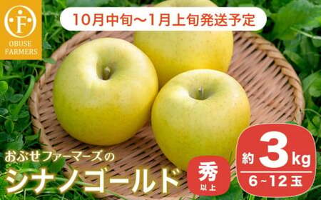  シナノゴールド 秀以上 約3kg 6～12玉 ［おぶせファーマーズ］ 果物 フルーツ りんご 林檎 リンゴ 長野県産 信州産 令和8年産 【2026年10月中旬～2027年1月上旬発送】［FH-83］