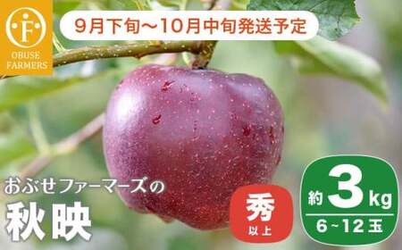  秋映 秀以上 約3kg 6～12玉 ［おぶせファーマーズ］ 果物 フルーツ りんご 林檎 リンゴ 長野県産 信州産 令和8年産 【2026年9月下旬～10月中旬発送】 ［FH-82］