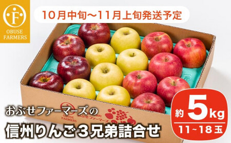 信州りんご3兄弟詰合せ 約5kg 11〜18玉 [おぶせファーマーズ] りんご 林檎 リンゴ 果物 フルーツ 秋映 シナノスイート シナノゴールド 長野県産 令和8年産 [2026年10月中旬〜11月上旬発送] 