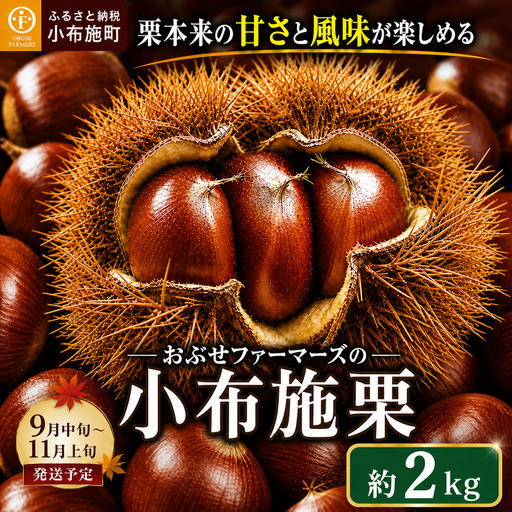 無くん蒸小布施栗 約2kg [おぶせファーマーズ] 令和8年産 [2026年9月中旬〜11月上旬発送] [FB-23]
