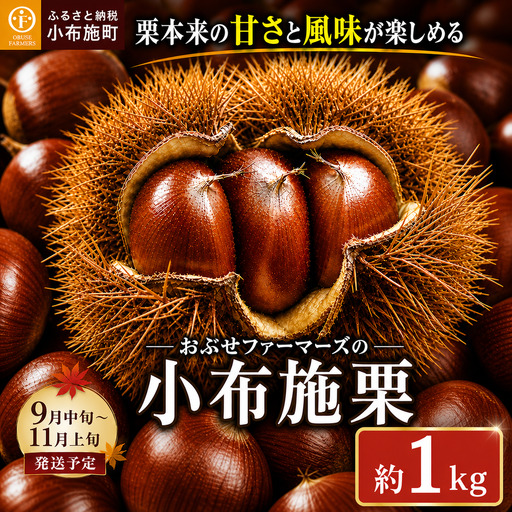 先行受付 無くん蒸小布施栗 約1kg [おぶせファーマーズ] 令和8年産 [2026年9月中旬〜11月上旬発送] [F-33]