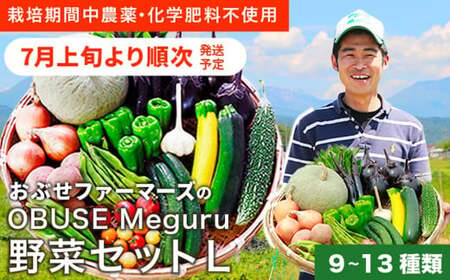  ［栽培期間中農薬・化学肥料不使用］OBUSE Meguru 野菜セット L 9～13種類 ［おぶせファーマーズ］野菜 詰め合わせ  おまかせ やさい 詰合せ お楽しみ 長野県産 信州 令和8年産 【2026年7月上旬より順次発送】  ［FY-3］