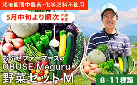 ［ 栽培期間中 農薬・化学肥料不使用］ OBUSE Meguru 野菜セット M 8～11種類 ［おぶせファーマーズ］野菜 詰め合わせ おまかせ やさい 詰合せ お楽しみ 長野県産 信州 令和8年産 【2026年5月中旬より順次発送】 ［FY-2］