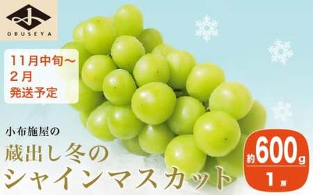 蔵出し冬のシャインマスカット 約600g 1房 [小布施屋 ]令和8年産[2026年11月中旬〜2027年2月発送]