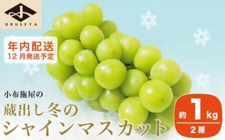 【2026年12月発送】蔵出し冬のシャインマスカット 約1kg 2房 年内配送 ［小布施屋 ］長野県 ぶどう フルーツ 果物 冷蔵便 クール便 令和8年産［A-526］