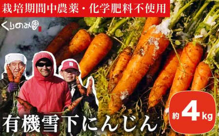 有機雪下にんじん 約4kg 栽培期間中農薬・化学肥料不使用 [くりのみ園] 人参 ニンジン 野菜 やさい 長野県産 信州産 期間限定 長野県産 信州産 国産 小布施町 [2026年1月〜3月発送] [H-85]