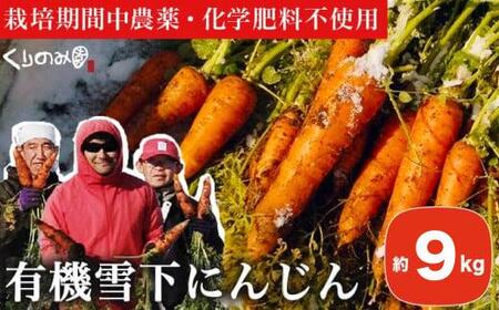 有機雪下にんじん 約9kg 栽培期間中農薬・化学肥料不使用 ［くりのみ園］ 人参 ニンジン 野菜 やさい 長野県産 信州産 期間限定 長野県産 信州産 国産 小布施町 【2026年1月～3月発送】 ［H-95］