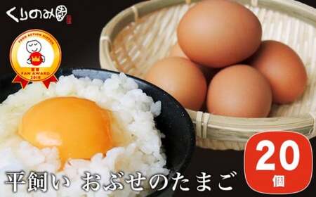 [思いやり型返礼品] 平飼い おぶせのたまご 20個 [くりのみ園] [H-59]