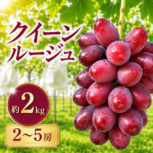 先行受付 クイーンルージュ® 約2kg 2〜5房 [2026年9月上旬〜11月上旬発送][K-36]