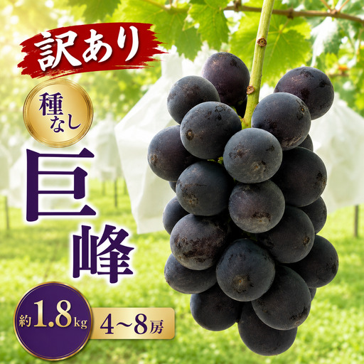 先行受付[訳あり]種なし巨峰 約1.8kg 4〜8房 2026年8月下旬〜10月上旬頃発送予定[新規就農者応援コース 幸作会][K-29]