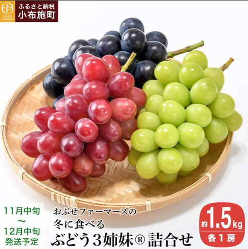 冬に食べるぶどうぶどう3姉妹® シャインマスカット ＆ ナガノパープル ＆ クイーンルージュ® 詰合せ 各1房 約1.5kg [おぶせファーマーズ] 数量限定 【2026年11月中旬～12月中旬発送】 [F-555]