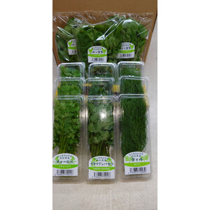 信州高山村産フレッシュハーブの詰め合わせセット(3〜6種類)[配送不可地域:離島]