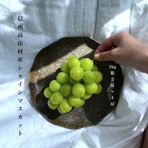 [2026年10月〜11月発送]長寿の村信州高山村産シャインマスカット約1kg箱(2房〜4房)[配送不可地域:離島・沖縄県]
