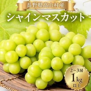 [2026年発送]シャインマスカット2〜3房(1kg以上)[配送不可地域:離島・北海道・沖縄県]