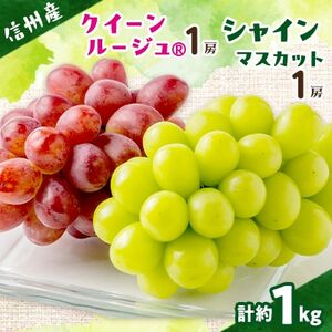 クイーンルージュ&シャインマスカット 2房セット[配送不可地域:離島]