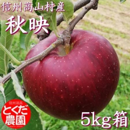 高山村産りんご(秋映)5kg箱【1299374】