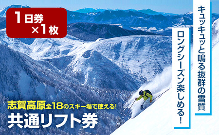 志賀高原スキー場共通リフト券 1日券2枚 【 スキー場 共通 リフト券