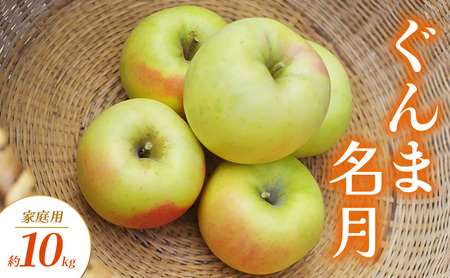 ぐんま名月 家庭用 約10kg りんご リンゴ 林檎 果物 フルーツ 長野県 長野 山ノ内町