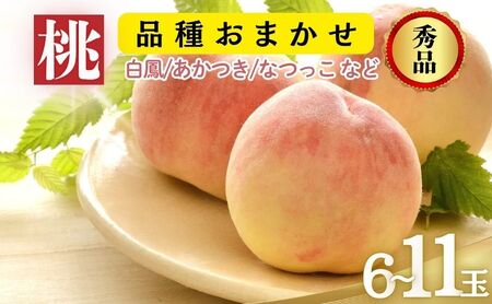 品種おまかせ(白鳳、あかつき、なつっこなど)秀品 約3kg 6〜11玉 桃 もも 果物 信州 長野