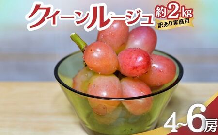 クイーンルージュ 訳あり家庭用 約2kg4〜6房 ぶどう 葡萄 果物 信州 長野