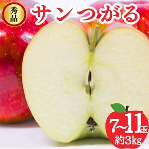 サンつがる 秀品 約3kg 7〜11玉 りんご 果物 信州 長野