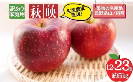 秋映 訳あり家庭用 約5kg 12〜23玉 りんご 果物 訳あり 信州 長野