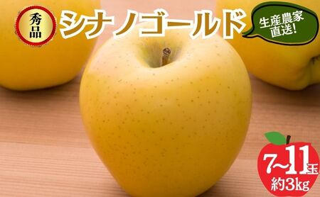 シナノゴールド 秀品 約3kg 7〜11玉 りんご 果物 信州 長野