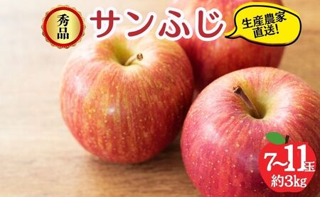 サンふじ 秀品 約3kg 7〜11玉 りんご ふじ 果物 信州 長野