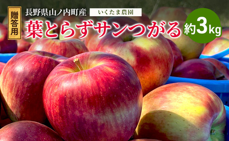 [贈答用]葉とらずサンつがる 約3kg リンゴ りんご フルーツ 果物 お取り寄せ 長野県 山ノ内町
