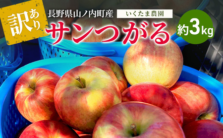 [訳あり]サンつがる 約3kg リンゴ りんご フルーツ 果物 お取り寄せ 長野県 山ノ内町
