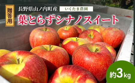 [贈答用]葉とらずシナノスイート 約3kg リンゴ りんご フルーツ 果物 お取り寄せ 長野県 山ノ内町