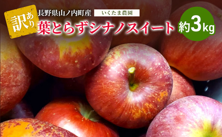 [訳あり]シナノスイート 約3kg リンゴ りんご フルーツ 果物 お取り寄せ 長野県 山ノ内町