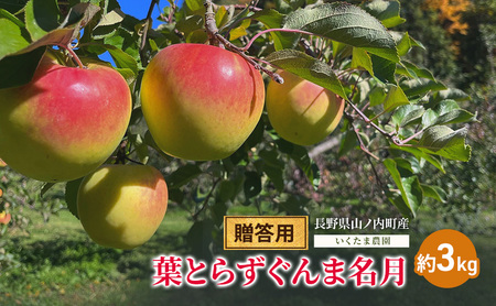 [贈答用]葉とらずぐんま名月 約3kg リンゴ りんご フルーツ 果物 お取り寄せ 長野県 山ノ内町