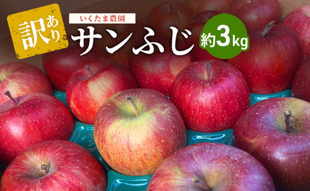 [訳あり]サンふじ 約3kg リンゴ りんご フルーツ 果物 お取り寄せ 長野県 山ノ内町