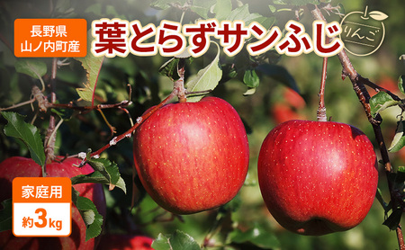 家庭用 葉とらずサンふじ リンゴ 約3kg りんご 林檎 果物 くだもの フルーツ 信州 長野