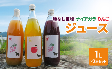 種無し巨峰 ナイアガラ りんごジュース1L×3本セット フルーツ 長野県
