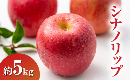 2026�N�����V�i�m���b�v��5kg ��� ���쌧�Y