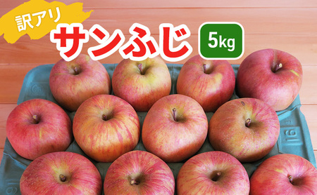 葉とらずりんご サンふじ 訳アリ 5kg