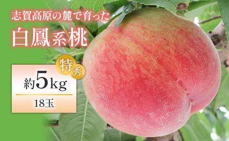 [2026年発送]志賀高原の麓で育った 桃(白鳳系)特秀18玉 約5kg 桃 もも 白鳳 フルーツ 果物 デザート 長野県 長野