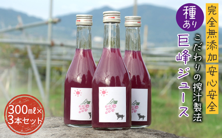 ySYzySSzy̍`@z킠苐W[X300ml×3{Zbgy͔|Ԓ ܁ElIjR`mChn_Ew엿sgpz ʎ t[cW[X 