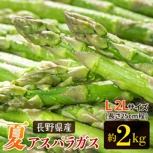[先行予約]夏 アスパラガス 約2kg 農家直送 ハウス栽培(路地栽培あり)| 野菜 やさい ヤサイ 根物 ねもの ネモノ アスパラ あすぱら アスパラガス あすぱらがす 夏 旬 出荷 長野県 木島平村 ハウス栽培 路地栽培 農家 直送