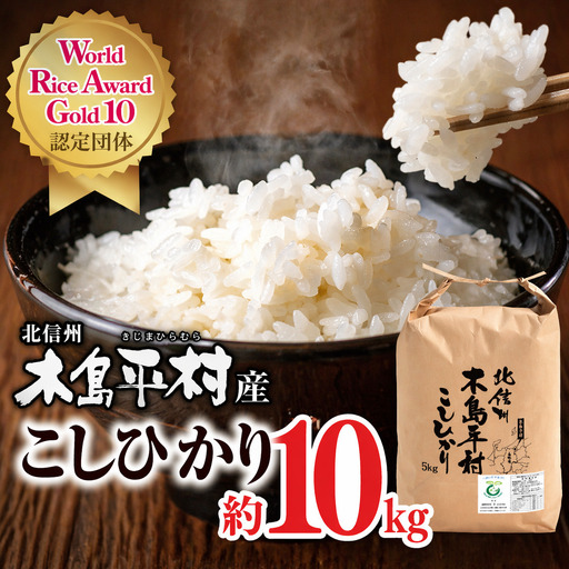 木島平産こしひかり 約10kg | 米 白米 精米 特別栽培米 コシヒカリ こしひかり お米 おこめ 減農薬 長野県 木島平村 信州