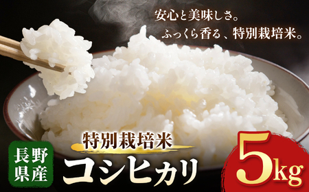 木島平産 特別栽培米 コシヒカリ 約5kg