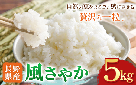 木島平村産 風さやか 約5kg